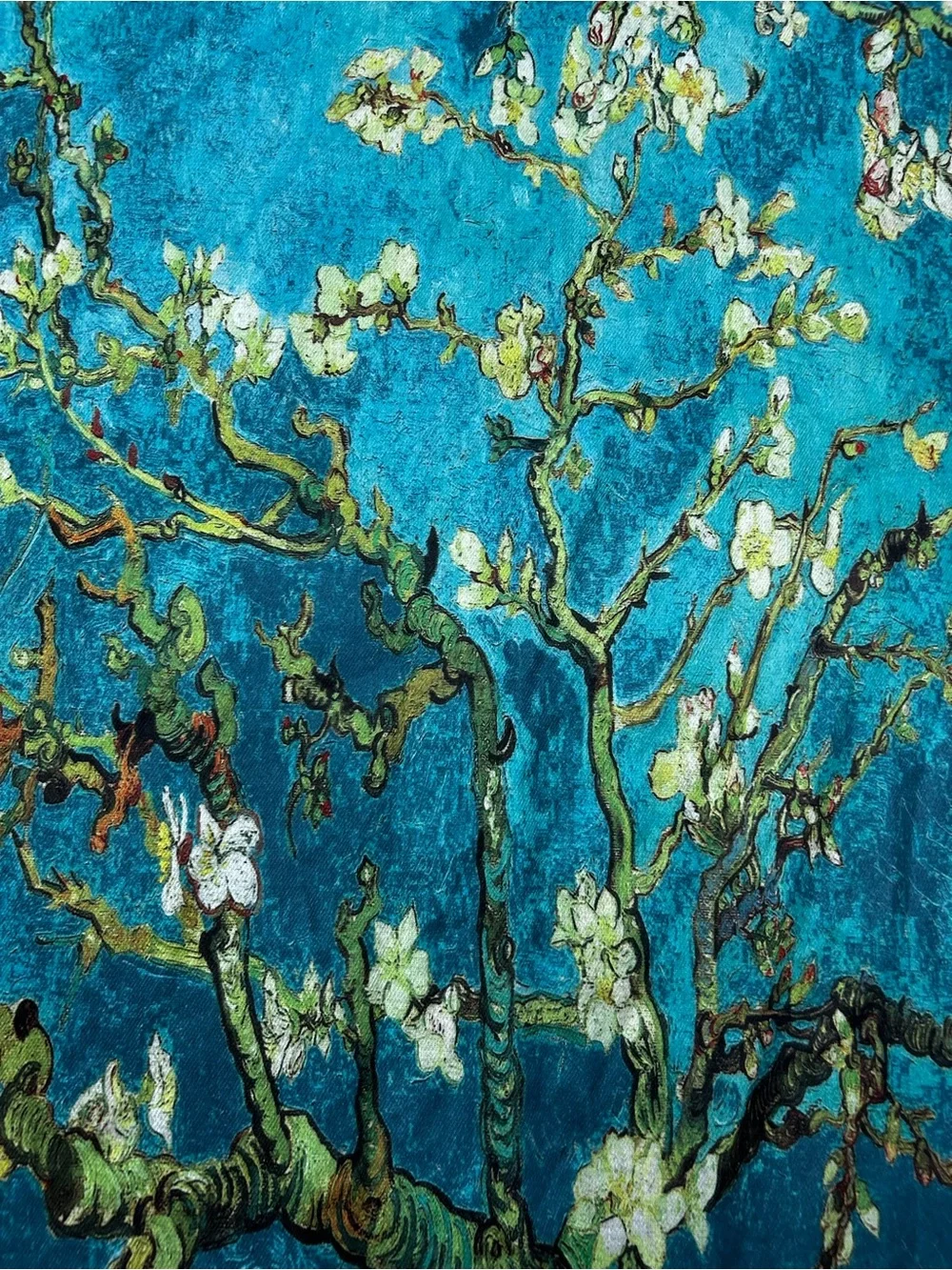Van Gogh Almond Blossom Art Shawl Wrap Fringe Scarf Blue Floral Wool Blend